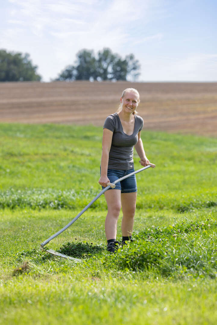 KERBL Klappsense Wettschliffsense mit Sensenworb